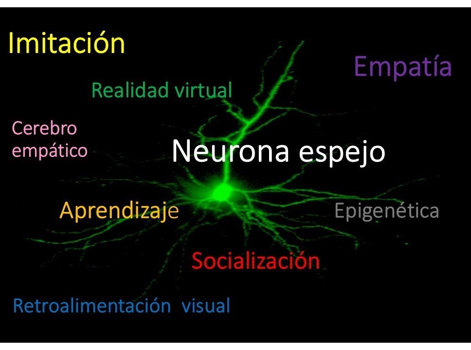Elementos de Percepción en Psicología: Su Impacto Revelador 16 elementos de percepcion en psicologia su impacto revelador