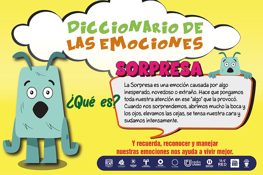 EMOCIÓN de SORPRESA: Qué SIGNIFICA y PARA QUÉ SIRVE 2 emocion de sorpresa que significa y para que sirve