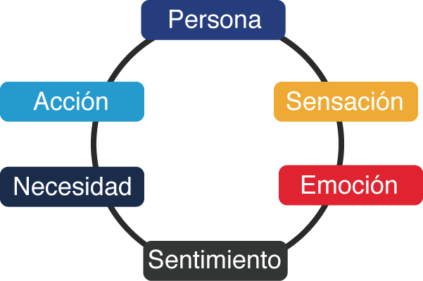 EMOCIÓN Y SENTIMIENTOS: 3 DIFERENCIAS CLAVE QUE DEBES SABER 2 emocion y sentimientos 3 diferencias clave que debes saber