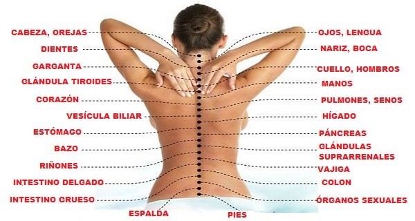Emociones y DOLENCIAS en la ESPALDA - Cuál es la CONEXIÓN 2 emociones y dolencias en la espalda cual es la