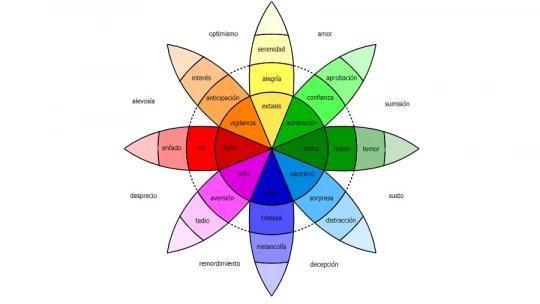 Emociones y SENTIMIENTOS: SU SIGNIFICADO EXPLICADO Aquí 6 emociones y sentimientos su significado explicado aqui
