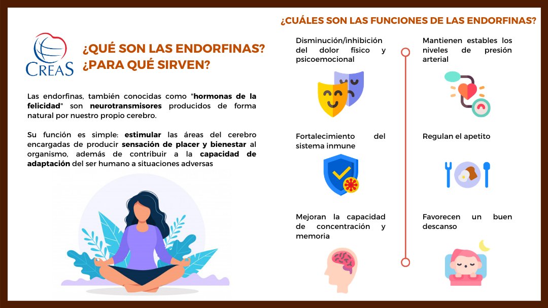 endorfinas que son y para que sirven descubre su funcion