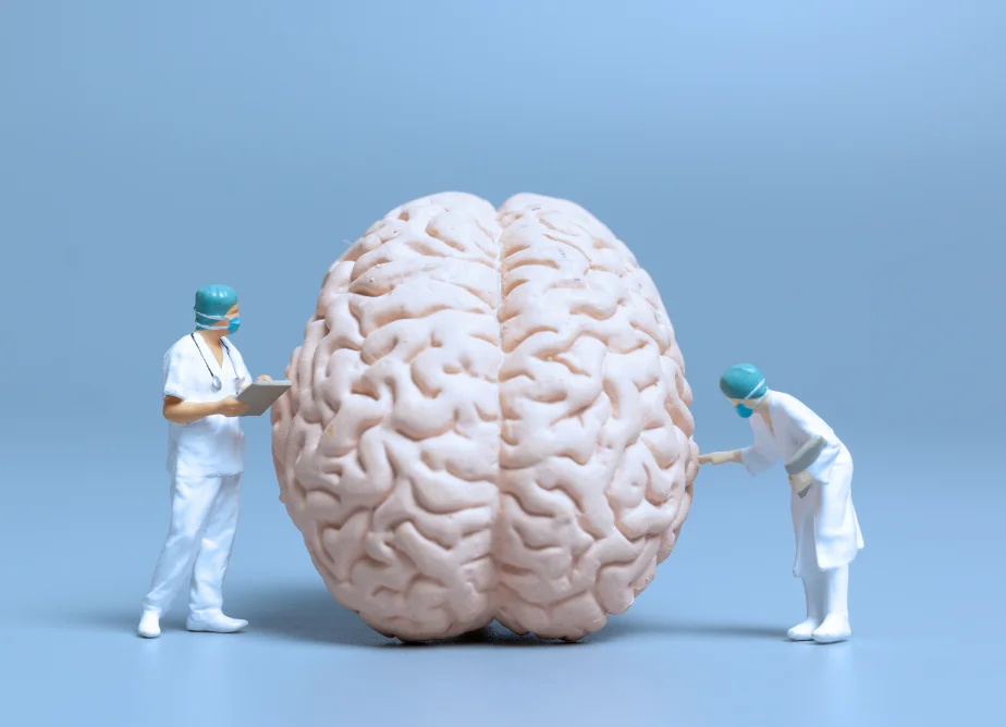 ENFERMEDADES CEREBRALES: Descubre las 12 MÁS IMPORTANTES 2 enfermedades cerebrales descubre las 12 mas importantes