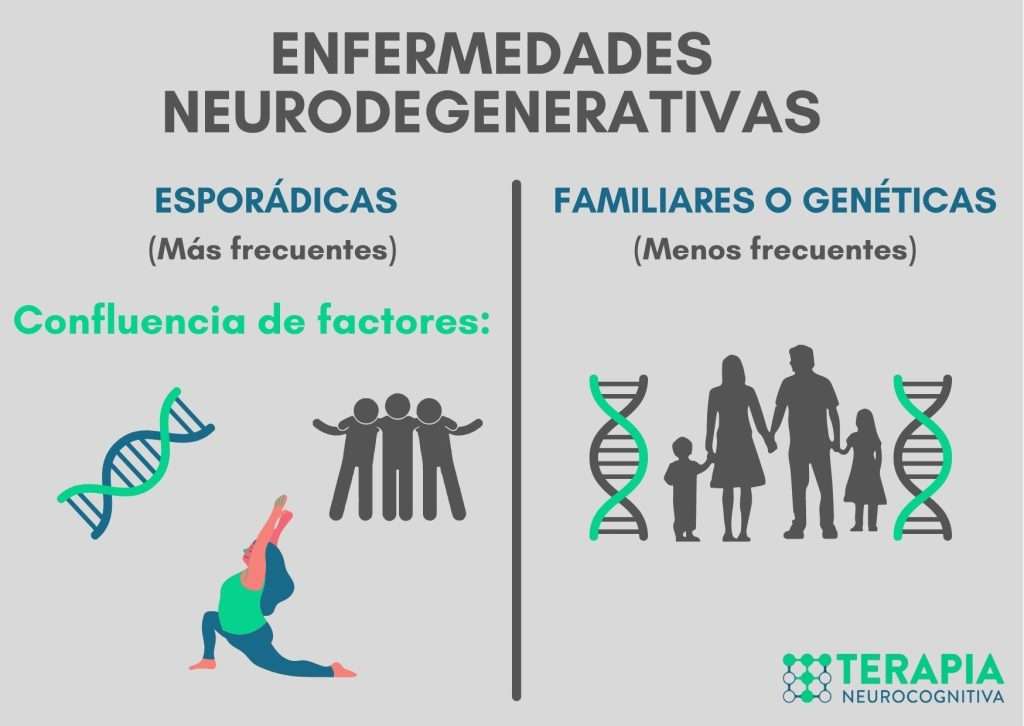 Enfermedades del Sistema Nervioso: Causas y Soluciones Clave 8 Enfermedades del Sistema Nervioso: Causas y Soluciones Clave