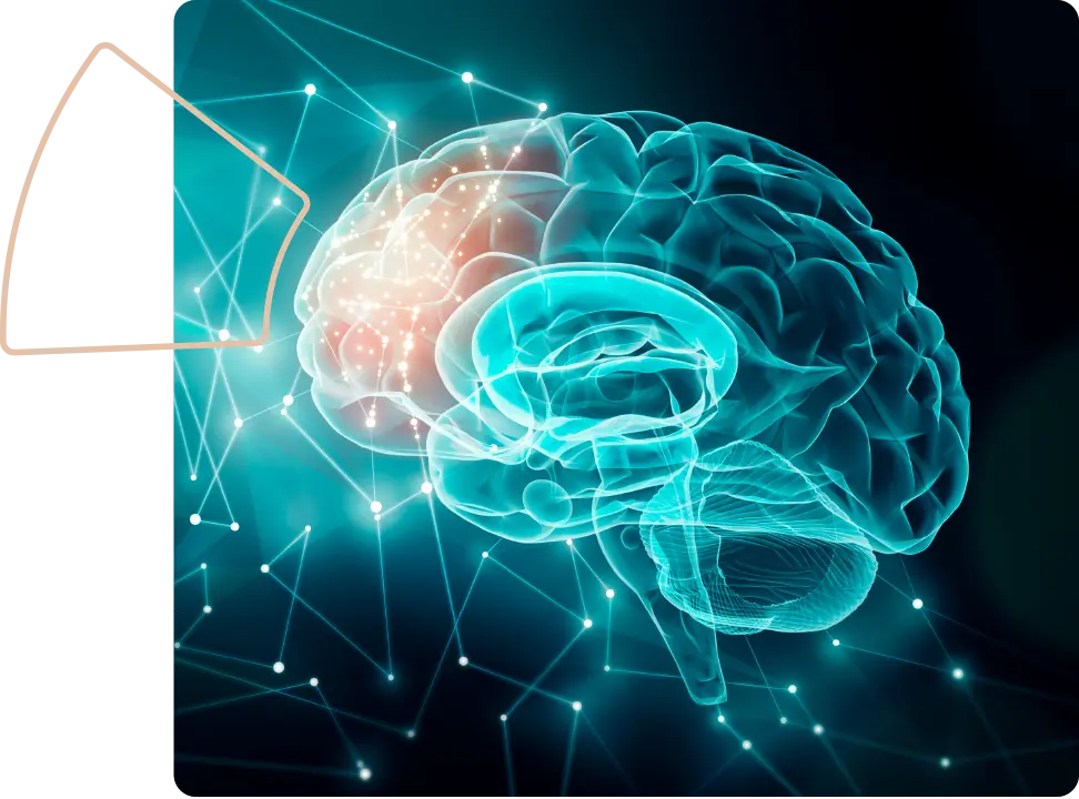 engramas descubre el significado y su impacto en tu cerebro