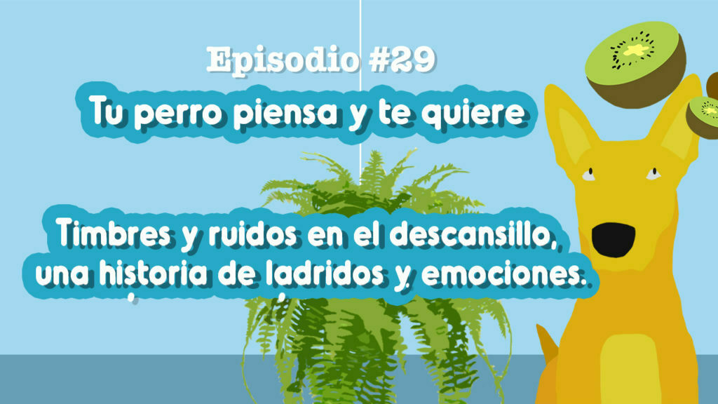 entiende los umbrales sensoriales te sorprenderan