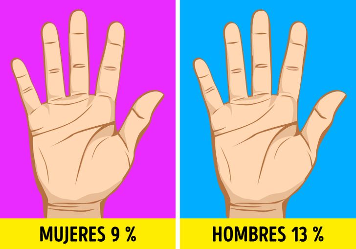 Eres zurdo o diestro Descubre la fascinante verdad 11 eres zurdo o diestro descubre la fascinante verdad