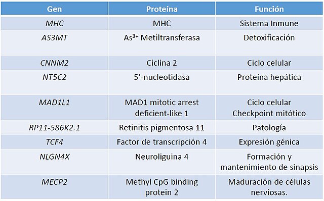 Esquizofrenia: DEFINICIÓN y SIGNIFICADO CLARO y PRECISO 2 esquizofrenia definicion y significado claro y preciso