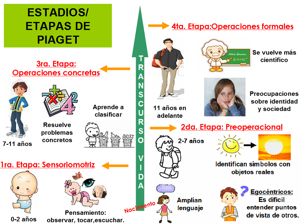 ESTADIOS de JEAN PIAGET – Descubre el DESARROLLO INFANTIL
