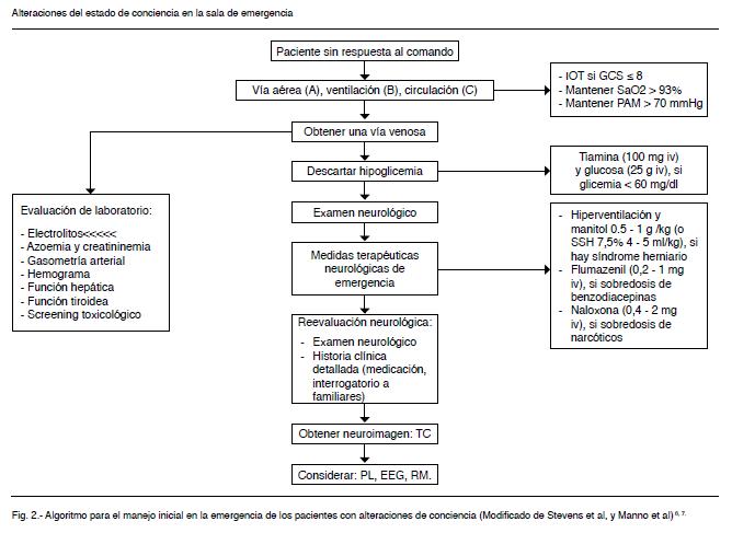 ESTADO de ESTUPOR: Significado y MANIFESTACIONES CLARAS 2 estado de estupor significado y manifestaciones claras