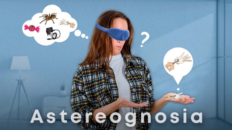 estereognosia descubre el reconocimiento tactil de objetos