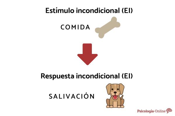 Estímulo Incondicionado: Descubre sus EJEMPLOS y RESPUESTAS 2 estimulo incondicionado descubre sus ejemplos y respuestas