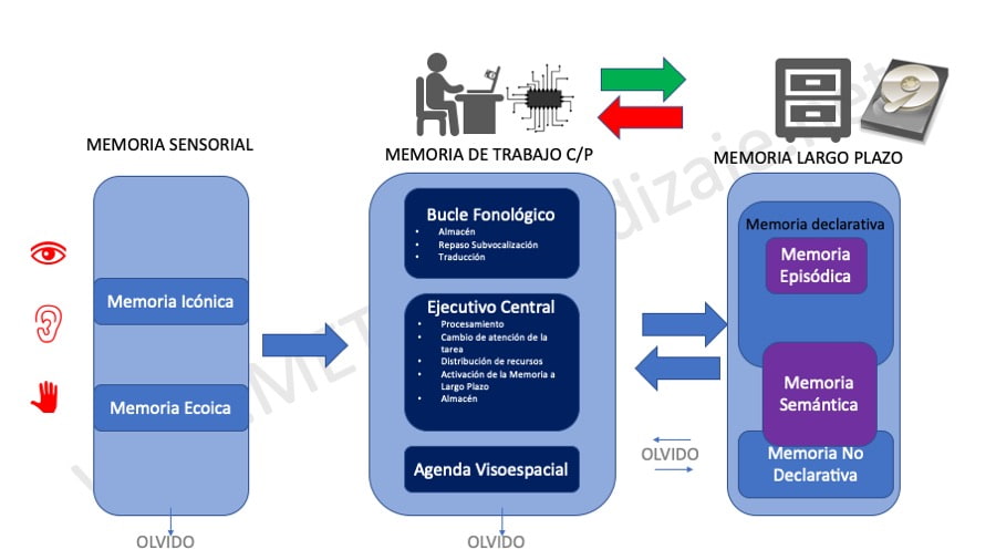 estrategias de memorizacion mejora tu memoria con 11 tips