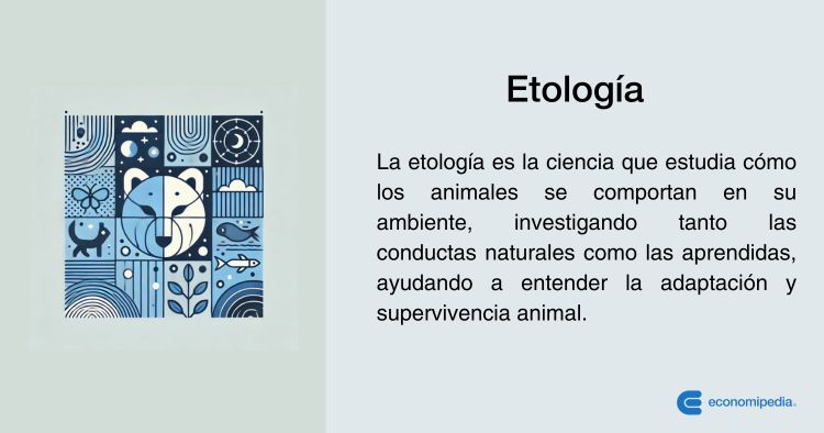 Etiología: DESCUBRE su SIGNIFICADO y Definición CLARA 2 etiologia descubre su significado y definicion clara