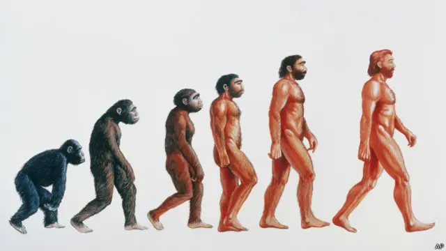 Evolución CULTURAL del SER HUMANO - Descubre su IMPACTO 2 evolucion cultural del ser humano descubre su impacto