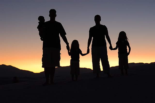 FAMILIAS DISFUNCIONALES: 7 TIPOS y Ejemplos REALISTAS 11 FAMILIAS DISFUNCIONALES: 7 TIPOS y Ejemplos REALISTAS