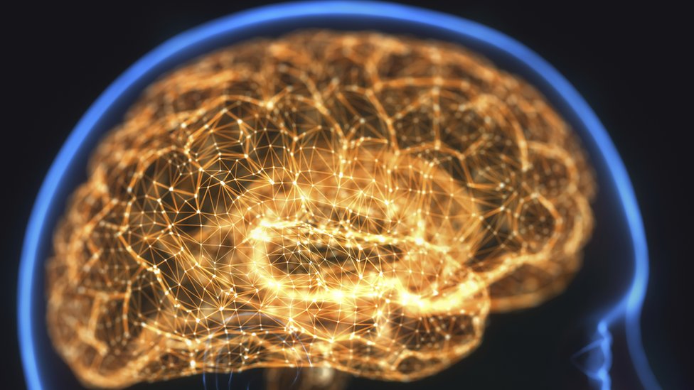 FASCINACIÓN: El SIGNIFICADO que IMPACTA tu CEREBRO 2 fascinacion el significado que impacta tu cerebro
