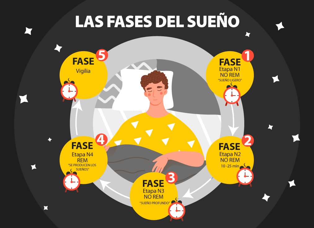 Fase REM DEL SUEÑO: Importancia y CARACTERÍSTICAS CLAVE 2 fase rem del sueno importancia y caracteristicas clave