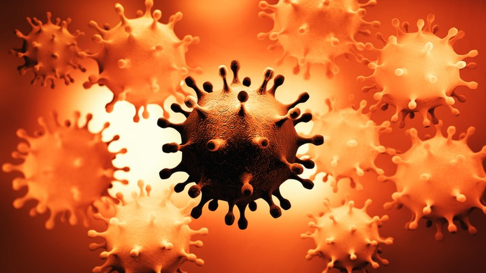 Fases Clave de la Replicación Viral: Descubre su Impacto 2 fases clave de la replicacion viral descubre su impacto