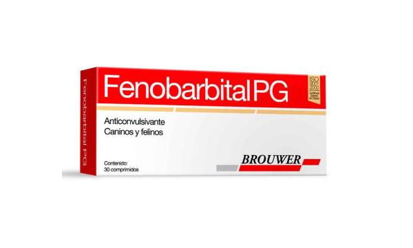 Fenobarbital: USOS y EFECTOS SECUNDARIOS que Debes Conocer 2 fenobarbital usos y efectos secundarios que debes conocer