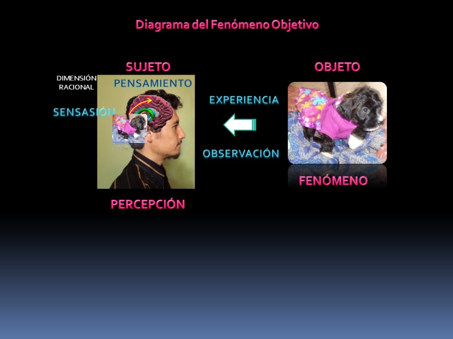 filosofia estetica analiza la belleza oculta del arte