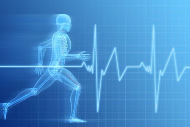 Fisiología: Aprende sus Bases Esenciales en Madrid 2 fisiologia aprende sus bases esenciales en madrid
