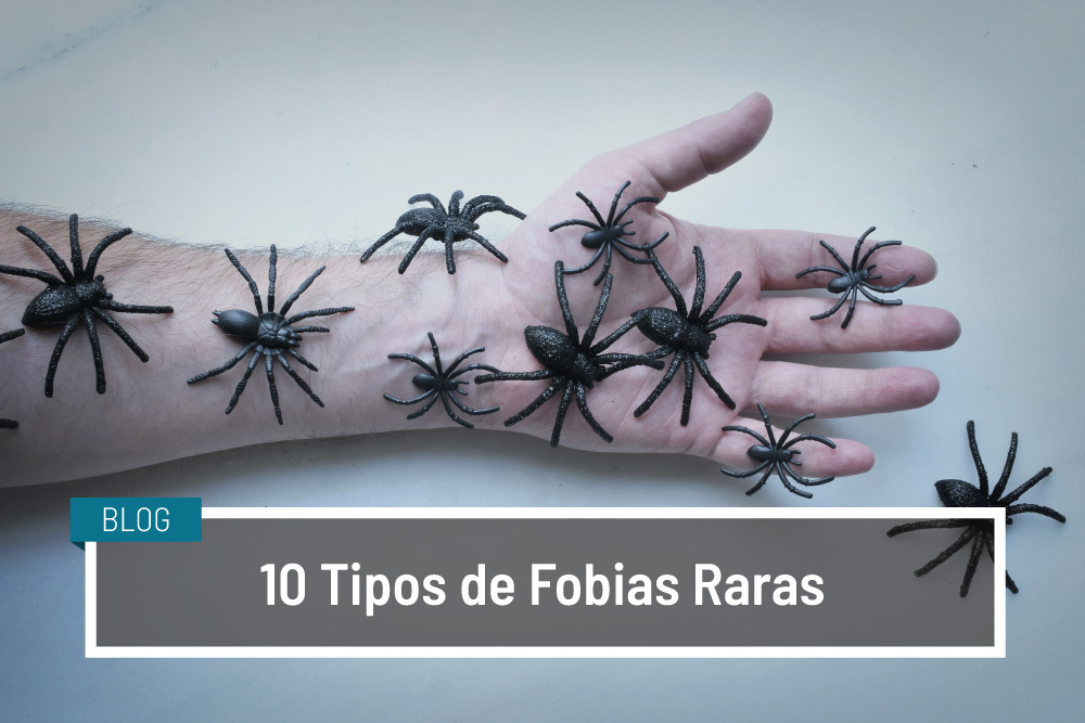 Fobia a Palabras Cortas: ¡Descubre sus Inusuales Rasgos! 2 fobia a palabras cortas descubre sus inusuales rasgos
