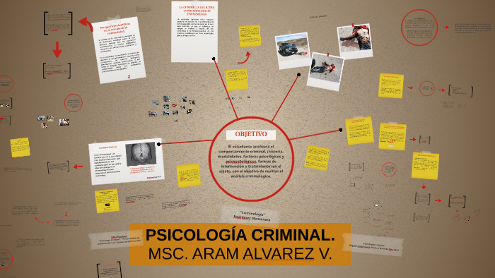 forense psicologia definicion y funciones que sorprenden