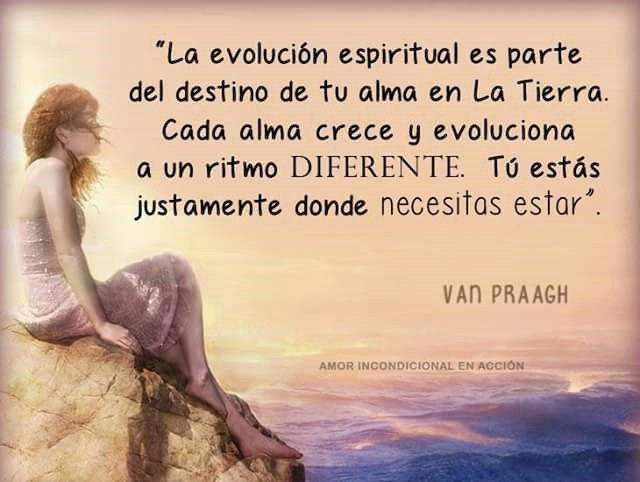 FRACES DE AMOR INCONDICIONAL: 12 INSPIRADORAS REFLEXIONES 2 fraces de amor incondicional 12 inspiradoras