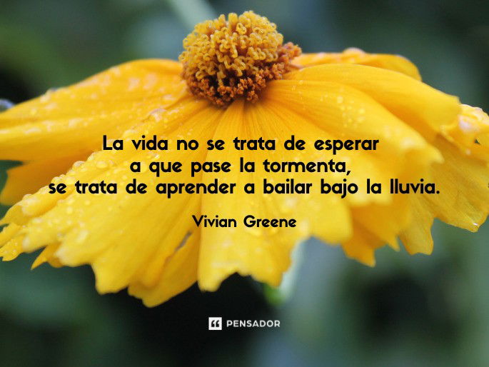 frases cortas de la vida reflexiones positivas y hermosas