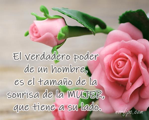 frases de admiracion para personas especiales inspirate
