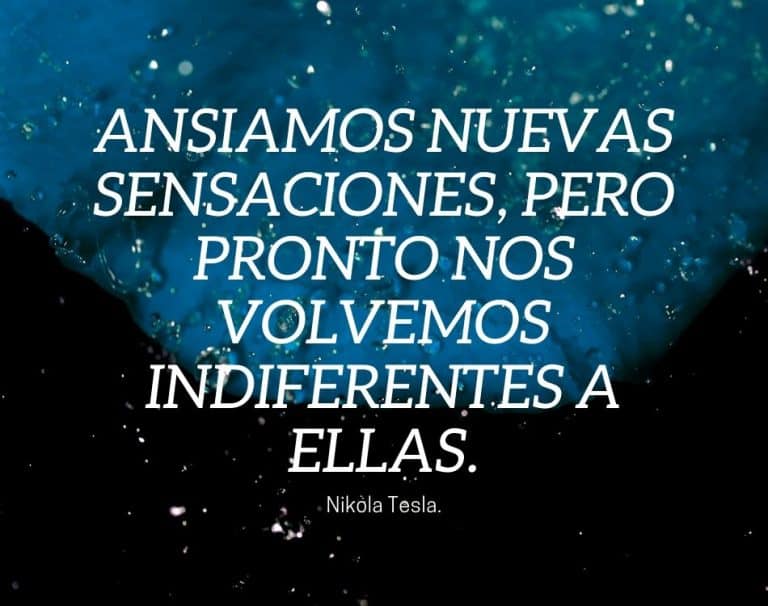 frases de arquimedes en fisica y matematicas inspirate