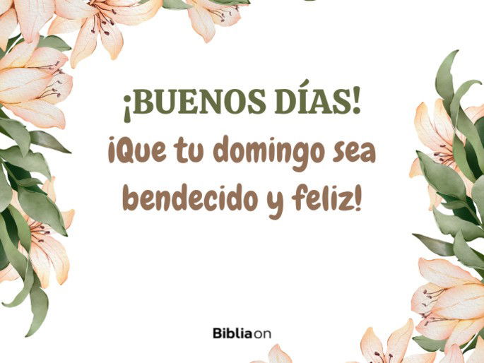 Frases de DOMINGO que INSPIRAN y HACEN FELIZ tu DÍA 2 frases de domingo que inspiran y hacen feliz tu dia