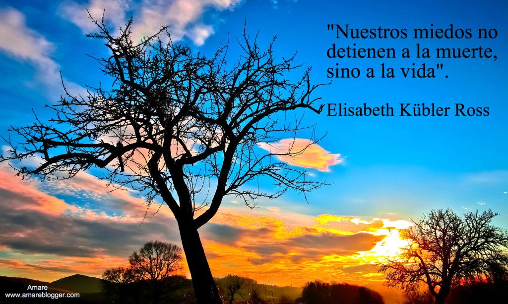 Frases de ELISABETH KÜBLER-ROSS para INSPIRAR tu VIDA 3 frases de elisabeth kubler ross para inspirar tu vida