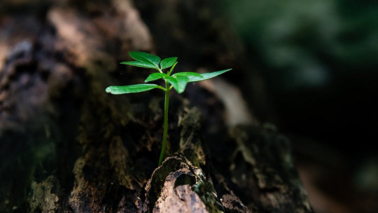 Frases de EMPATÍA y SOLIDARIDAD - Inspírate con 100 FRASES 12 frases de empatia y solidaridad inspirate con 100 frases