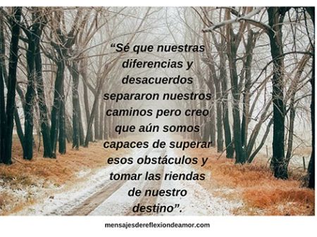 frases de enfado 100 cortas para expresar tu enojo