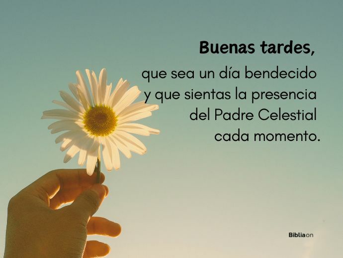 Frases de FELICIDAD para ALEGRAR tu VIDA - Inspírate Hoy 2 frases de felicidad para alegrar tu vida inspirate hoy