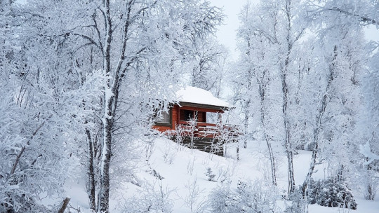 Frases de INVIERNO - 125 CORTAS y HERMOSAS para Reflexionar 2 frases de invierno 125 cortas y hermosas para