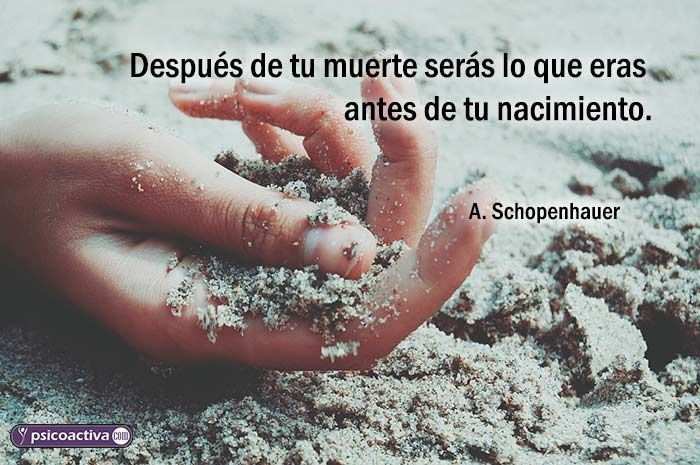 Frases de SCHOPENHAUER: SABIDURÍA y NIHILISMO en 70 Citas 11 Frases de SCHOPENHAUER: SABIDURÍA y NIHILISMO en 70 Citas