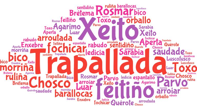 Frases GALLEGAS y PALABRAS que DEBES CONOCER - ¡Descúbrelas! 2 frases gallegas y palabras que debes conocer descubrelas