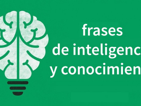 frases ingeniosas para destacar tu inteligencia y confianza