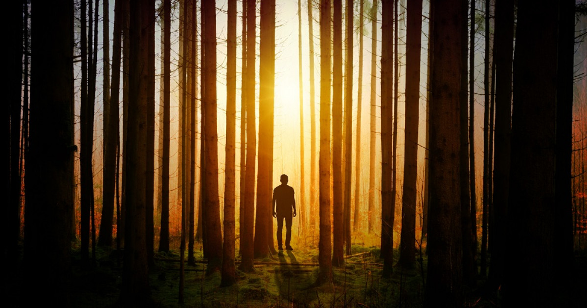 Frases MISTERIOSAS - 90 Citas ENIGMÁTICAS que Debes Conocer 2 frases misteriosas 90 citas enigmaticas que debes conocer