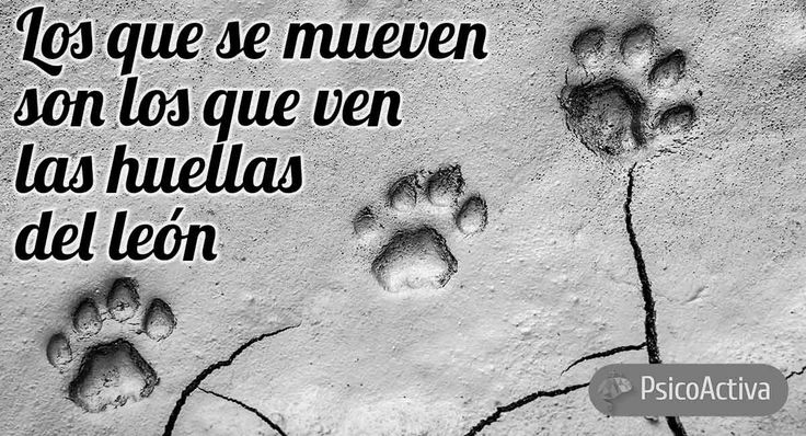 frases que dejan huellas inspiracion en pocas palabras