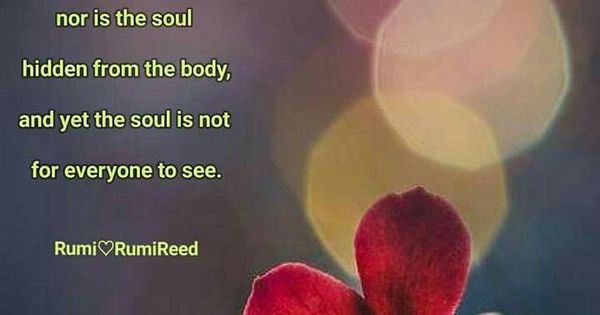 frases rumi las 50 citaes mas hermosas del misticismo