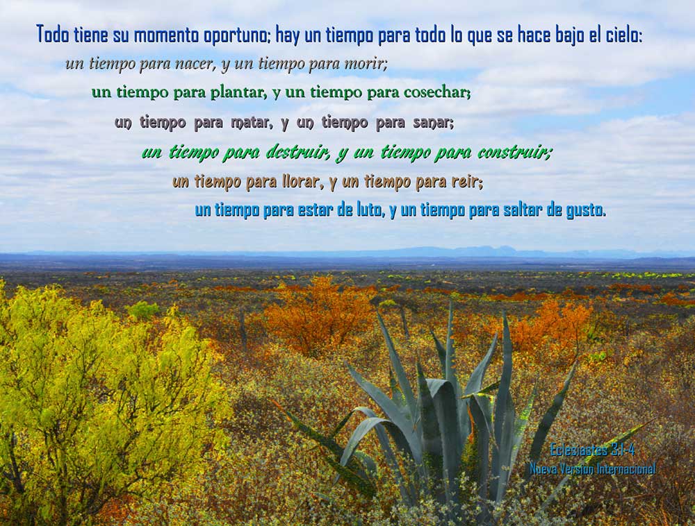 frases sabias de eclesiastes que te haran
