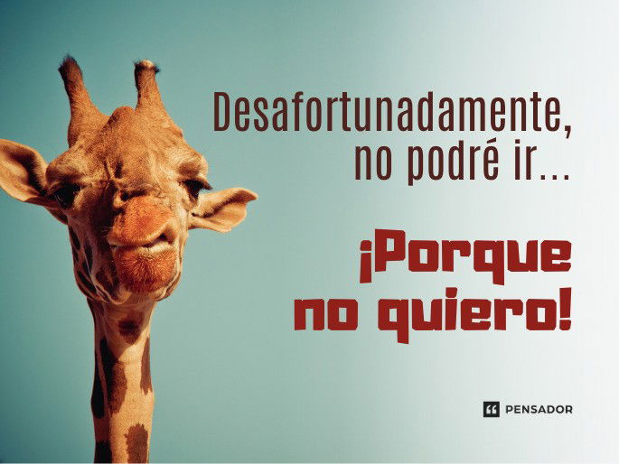 frases sarcasticas que haran reir a los arrogantes
