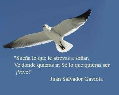 Frases sobre VOLAR - 90 Mensajes de ALAS y LIBERTAD 2 frases sobre volar 90 mensajes de alas y libertad