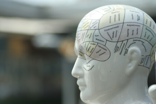 Frenología: MIDE tu MENTE con los FRENÓLOGOS EXPERTOS 2 frenologia mide tu mente con los frenologos