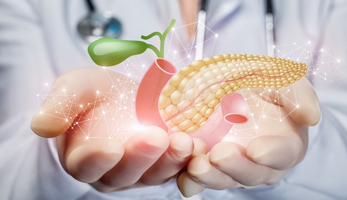 Funciones del páncreas: Por qué son vitales en Madrid 2 funciones del pancreas por que son vitales en madrid