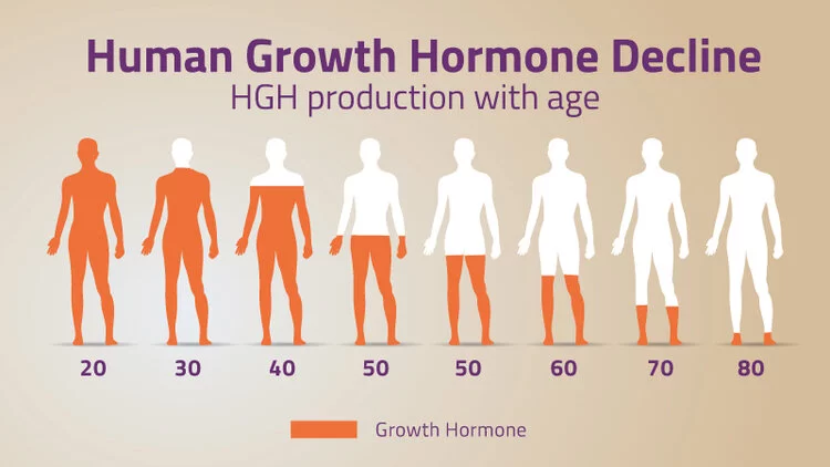 GH HORMONA DE CRECIMIENTO: DESCUBRE SUS FUNCIONES CLAVE 2 gh hormona de crecimiento descubre sus funciones clave